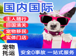 宝安航空空运国际宠物托运 【国
